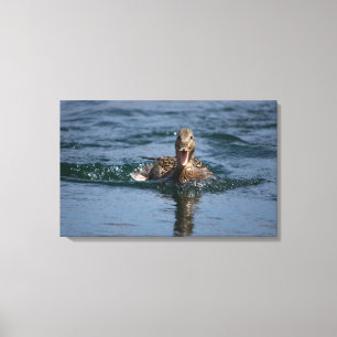 Impressão Em Tela Pato com bico aberto