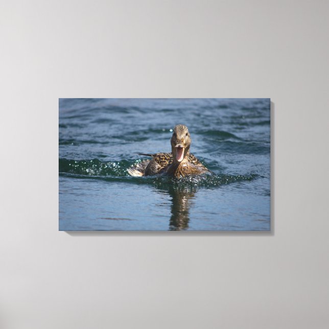 Impressão Em Tela Pato com bico aberto (Frente)