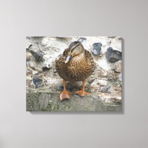 Impressão Em Tela Pato em uma tela de parede
