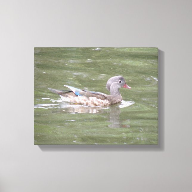Impressão em Tela Pato no Lago (Frente)