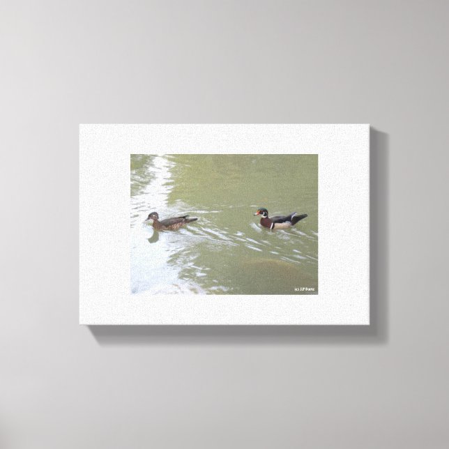 Impressão Em Tela Patos Nadando (Frente)