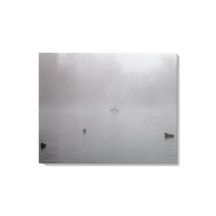 Patos num lago nebuloso