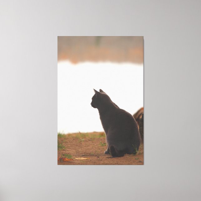 Impressão Em Tela Pausa (Frente)