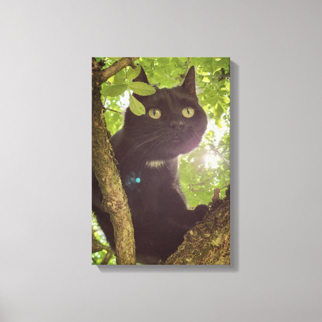 Impressão Em Tela Paws of the Wild (Frente)