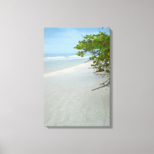 Impressão Em Tela Paz E Silêncio Na Ilha Sanibel
