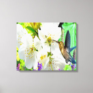 Impressão Em Tela Peach Blossom Hummingbird