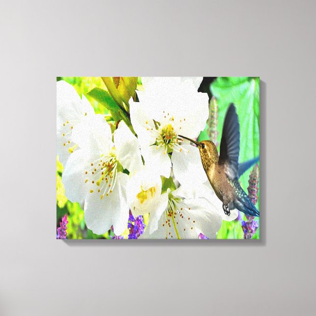 Impressão Em Tela Peach Blossom Hummingbird (Frente)