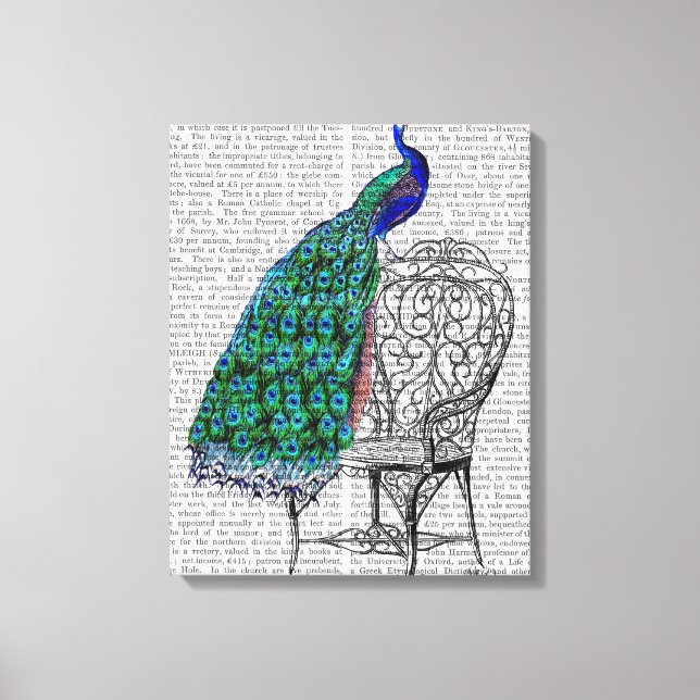 Impressão Em Tela Peacock em Presidente (Frente)