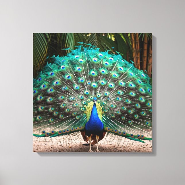 Impressão Em Tela Peacock Feather Fanning (Frente)