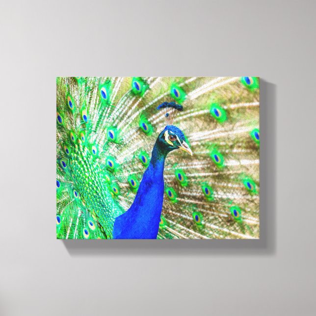 Impressão Em Tela Peacock Plumage (Frente)