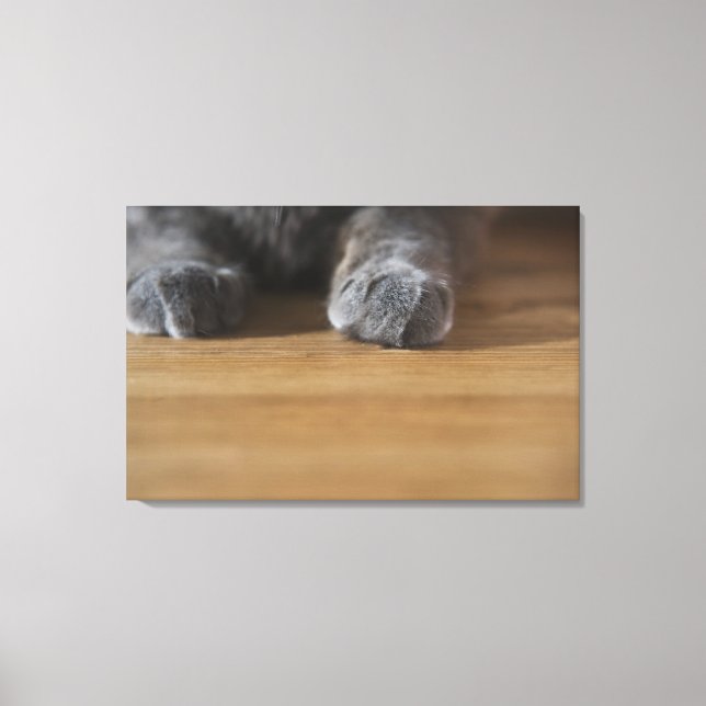 Impressão Em Tela Peças de gato (Frente)