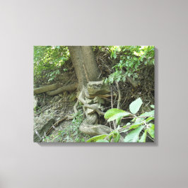 Impressão Em Tela Pedra de repouso