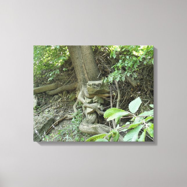 Impressão Em Tela Pedra de repouso (Frente)