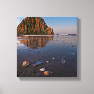 Impressão Em Tela Pedra Morro Refletindo na Areia Molhada