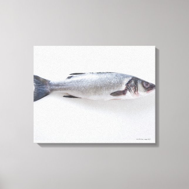 Impressão Em Tela Peixe-branzini inteiro (Frente)