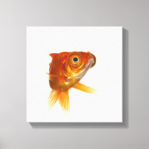 Impressão Em Tela Peixe dourado com olhos grandes 3