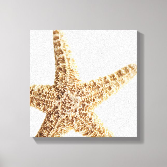 Impressão Em Tela Peixe-estrela (Frente)