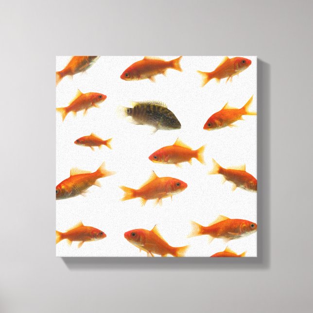 Impressão Em Tela Peixe-Goldfish 4 (Frente)