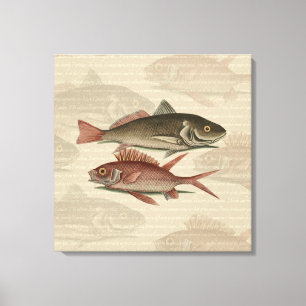 Impressão Em Tela Peixe Perca Vermelha Arte de Pescador