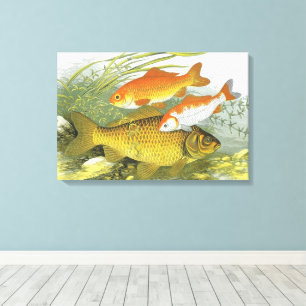 Impressão Em Tela Peixes Koi Goldfish, Vida Marinha Aquática Antiga