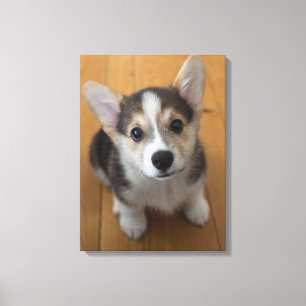 Impressão Em Tela Pembroke Welsh Corgi Puppy 3