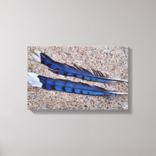 Impressão Em Tela Penas de pássaro de Jay azul