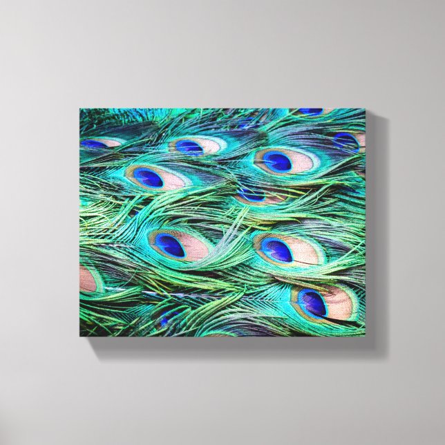 Impressão Em Tela Penas de Peacock (Frente)