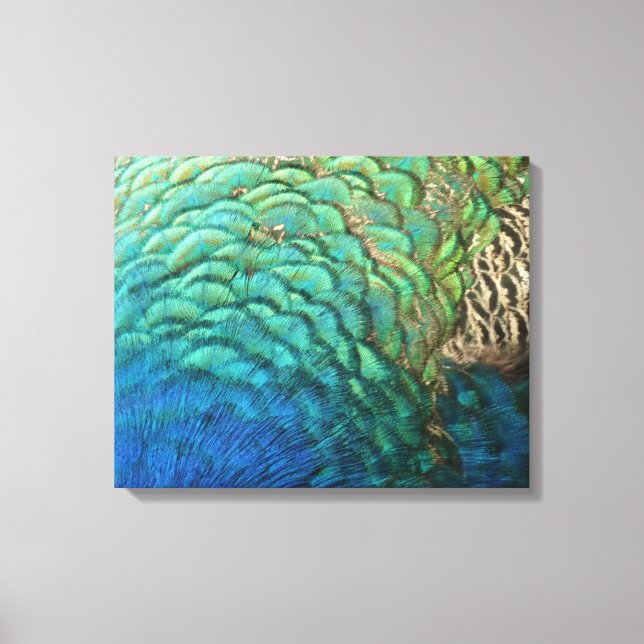 Impressão Em Tela Penas de Peacock I Abstrato (Frente)