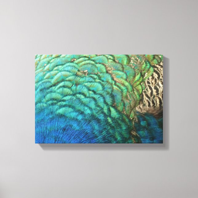 Impressão Em Tela Penas de Peacock I Abstrato (Frente)