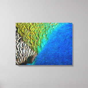 Impressão Em Tela Penas de Peacock IV Abstrato
