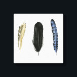 Impressão Em Tela Penas Moles I<br><div class="desc">Aproveite esta nova design de aquarela criativa em um produto ou peça wallart para aprimorar e agregar ao mundo ao seu redor. Artista: Grace Popp</div>