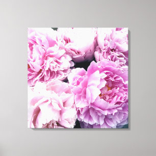 Impressão Em Tela Peônias cor-de-rosa com tela estendida