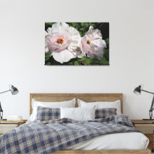 Peônias de árvores de 36"x24"