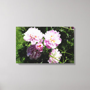 Impressão Em Tela Peônias Rosa Arte de Parede de Fotografia