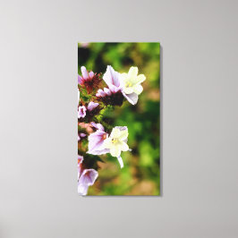 Impressão Em Tela pequena coleção de flores multicoloridas da flora 