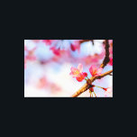 Impressão Em Tela Pequena Sakura Rosa Em Springtime<br><div class="desc">Pequenas e admiráveis flores sakura, de cor rosa, contra o fundo azul, branco e rosa macio do céu primavera e flores de cereja. Uma pintura digital muito grande a partir de uma fotografia. Impressão floral esticada de tela para decorar seu lugar ou para ser usada como presente em casamentos, aniversários,...</div>