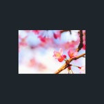 Impressão Em Tela Pequenas Belezas Rosa Sakura na Primavera<br><div class="desc">Flores pequenas e adoráveis de sakura de cor rosa contra o fundo macio rosa, branco e azul do céu da primavera e flores de cerejeira. Uma pintura digital extragrande a partir de uma fotografia. Impressão em tela esticada floral incrível para decorar o seu local ou para ser usada como presente...</div>