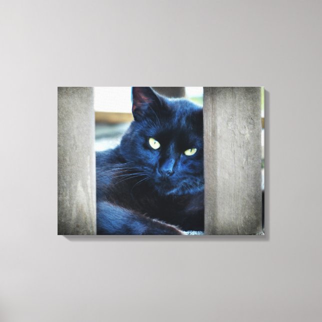 Impressão Em Tela Pequeno Gatinho Preto (Frente)