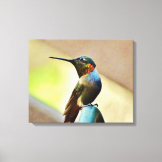Impressão Em Tela pequeno Hummingbird