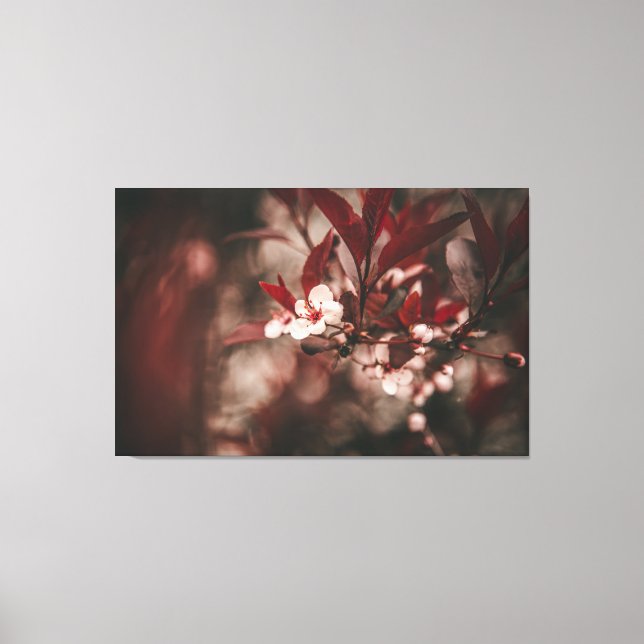 Impressão Em Tela Pequenos Blossomas Brancos (Frente)