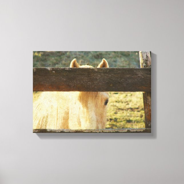 Impressão Em Tela Pequim Através Da Cerca (Frente)