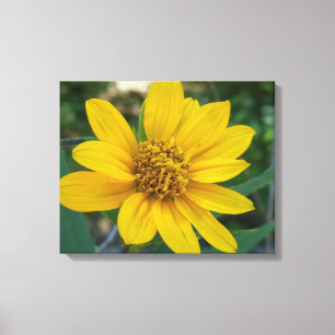 Impressão Em Tela Perfeição floral no amarelo da luz do sol