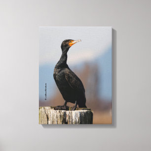 Impressão Em Tela Perfil de um Cormorante Duplo-Detido