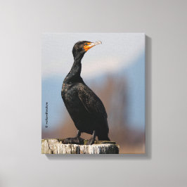 Impressão Em Tela Perfil de um Cormorante Duplo-Detido