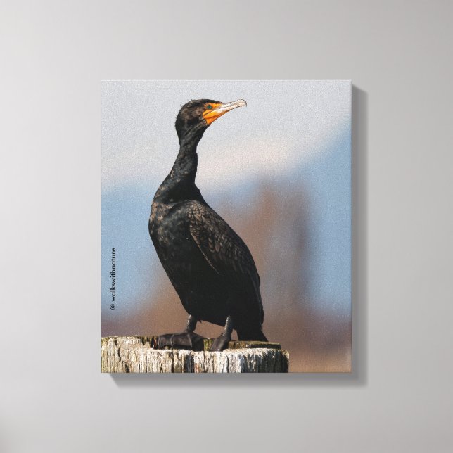 Impressão Em Tela Perfil de um Cormorante Duplo-Detido (Frente)