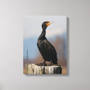 Impressão Em Tela Perfil de um Cormorante Duplo-Detido