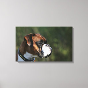 Impressão Em Tela Perfil do lado do cão do pugilista