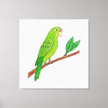 Perico verde del trópico