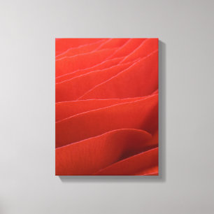 Impressão Em Tela Pérolas de Flores Vermelhas Ranunculus