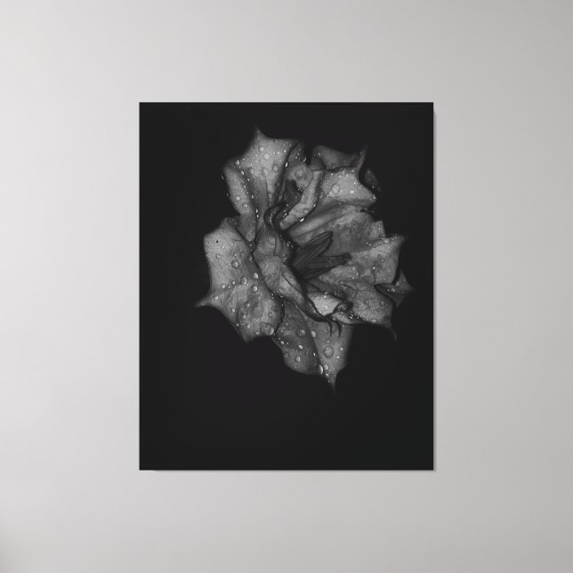 Impressão Em Tela Pétalas Beijadas na Escuridão (Frente)